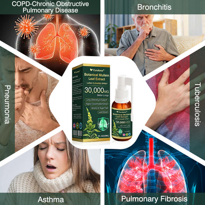 ✅ Official UK Flagship Store: Curalona® Mullein Leaf Extract Lung-Cleansing Spray (👨‍⚕️ Targets COPD, asthma, chronic bronchitis, respiratory infections, lung cancer, sinusitis, and other lung-related conditions)
