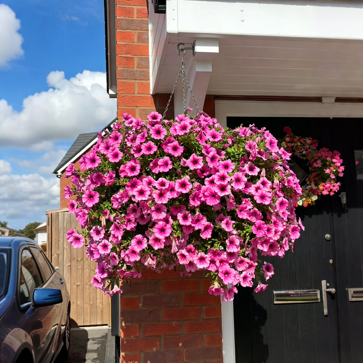 💥Last Day 50% OFF💥UV Resistant Artificial Petunias Flowers